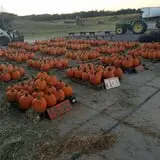 Zane's Clodbuster Farms photo