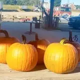 Zane's Clodbuster Farms photo