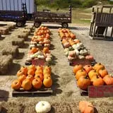 Zane's Clodbuster Farms photo