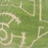 Zane's Clodbuster Farms photo