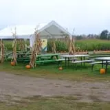 Thunder Road Farm's Corn Maze photo
