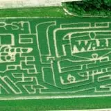 Thunder Road Farm's Corn Maze photo