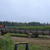Thunder Road Farm's Corn Maze photo