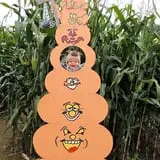Thunder Road Farm's Corn Maze photo