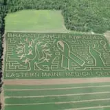 Thunder Road Farm's Corn Maze photo