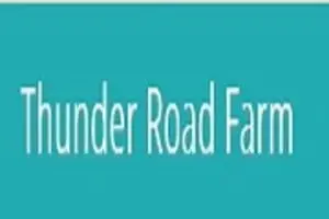 Thunder Road Farm's Corn Maze