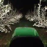 Ferguson's Orchards photo