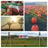 Ferguson's Orchards photo