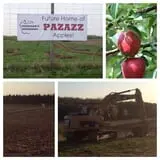 Ferguson's Orchards photo