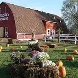 Ferguson's Orchards photo