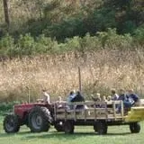 Ferguson's Orchards photo