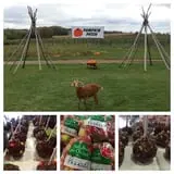 Ferguson's Orchards photo