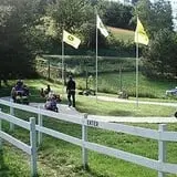 Ferguson's Orchards photo
