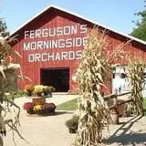 Ferguson's Orchards photo