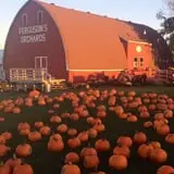 Ferguson's Orchards photo
