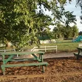 Ferguson's Orchards photo
