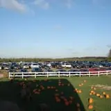 Ferguson's Orchards photo