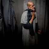 Nightmare Forest photo
