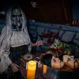 Nightmare Forest photo