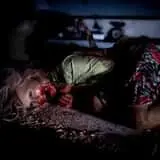 Nightmare Forest photo
