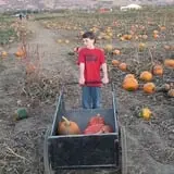Pack Farms Pumpkin Patch photo