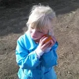 Pack Farms Pumpkin Patch photo