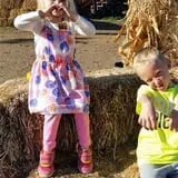 Pack Farms Pumpkin Patch photo
