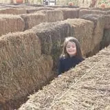 Pack Farms Pumpkin Patch photo
