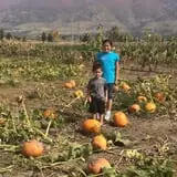 Pack Farms Pumpkin Patch photo