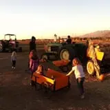 Pack Farms Pumpkin Patch photo