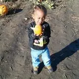 Pack Farms Pumpkin Patch photo