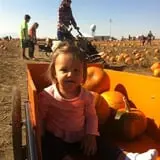 Pack Farms Pumpkin Patch photo