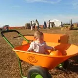 Pack Farms Pumpkin Patch photo