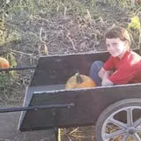 Pack Farms Pumpkin Patch photo