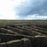 Pack Farms Pumpkin Patch photo