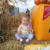 Pack Farms Pumpkin Patch photo