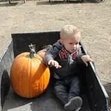 Pack Farms Pumpkin Patch photo
