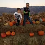 Pack Farms Pumpkin Patch photo