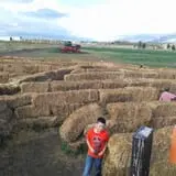 Pack Farms Pumpkin Patch photo