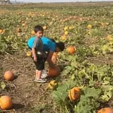 Pack Farms Pumpkin Patch photo