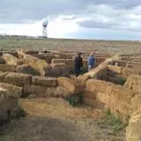 Pack Farms Pumpkin Patch photo