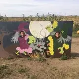 Pack Farms Pumpkin Patch photo