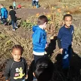 Pack Farms Pumpkin Patch photo