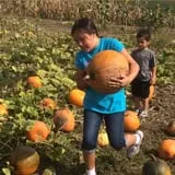 Pack Farms Pumpkin Patch photo