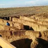 Pack Farms Pumpkin Patch photo