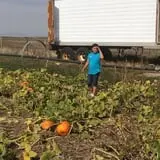 Pack Farms Pumpkin Patch photo