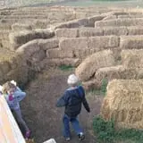 Pack Farms Pumpkin Patch photo