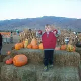 Pack Farms Pumpkin Patch photo