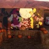 Pack Farms Pumpkin Patch photo