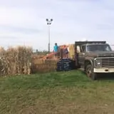 Pack Farms Pumpkin Patch photo